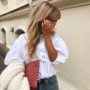 Zara Top with Balloon Sleeves